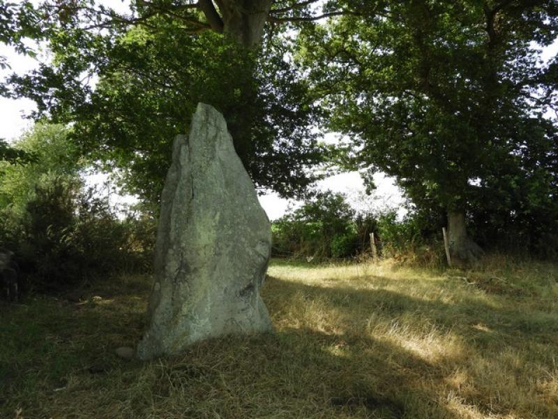 Menhir du Buron