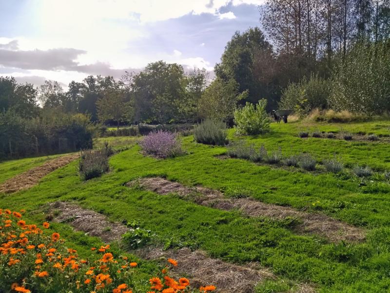 Jardin de l'herborigène