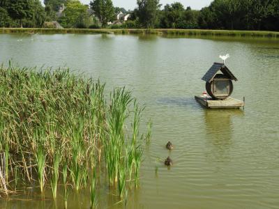 Plan d'eau